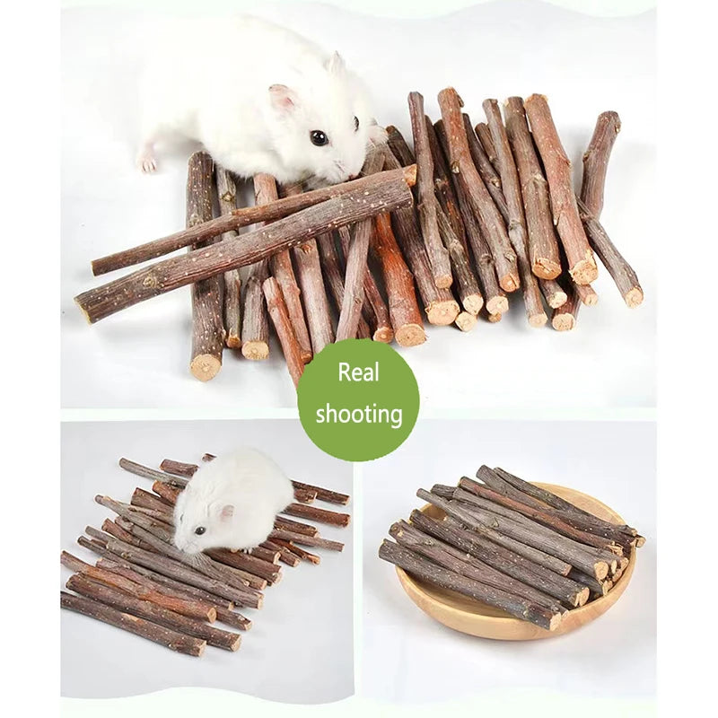 Professional Hamster Rabbit Teeth Grinding Apple Tree Stick Minerals Molar Stone Toys for Chinchilla Hamster PetToys accessories