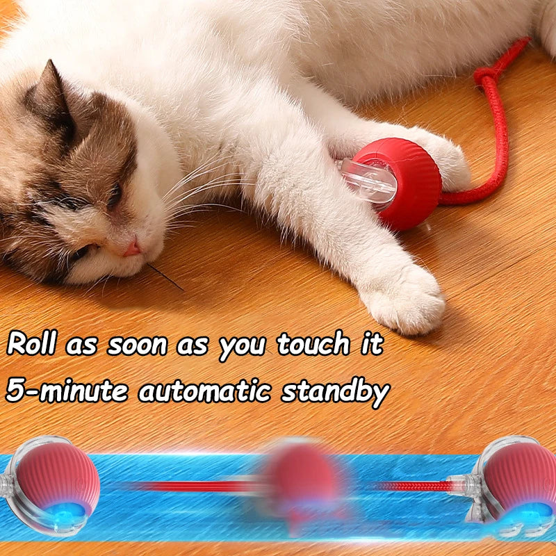 Cat Interactive Rolling Ball Toy