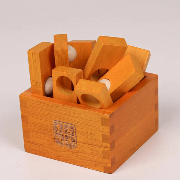 Wooden Brain Teaser Puzzles - 36 Stratagems IQ Test Challenge for Adults & Kids