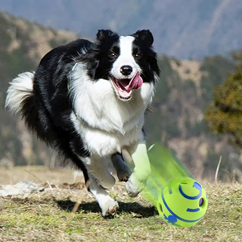 Dog Toy Wobble Wag Giggle Ball Getting Dog Attention Toy Fun Giggle Sounds When Rolled or Shaken Pets Know Best As Seen On TV