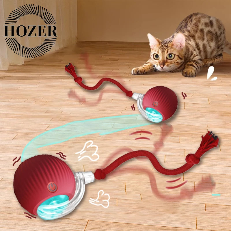 Cat Interactive Rolling Ball Toy