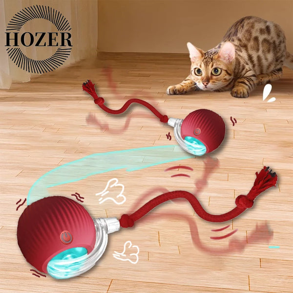 Cat Interactive Rolling Ball Toy
