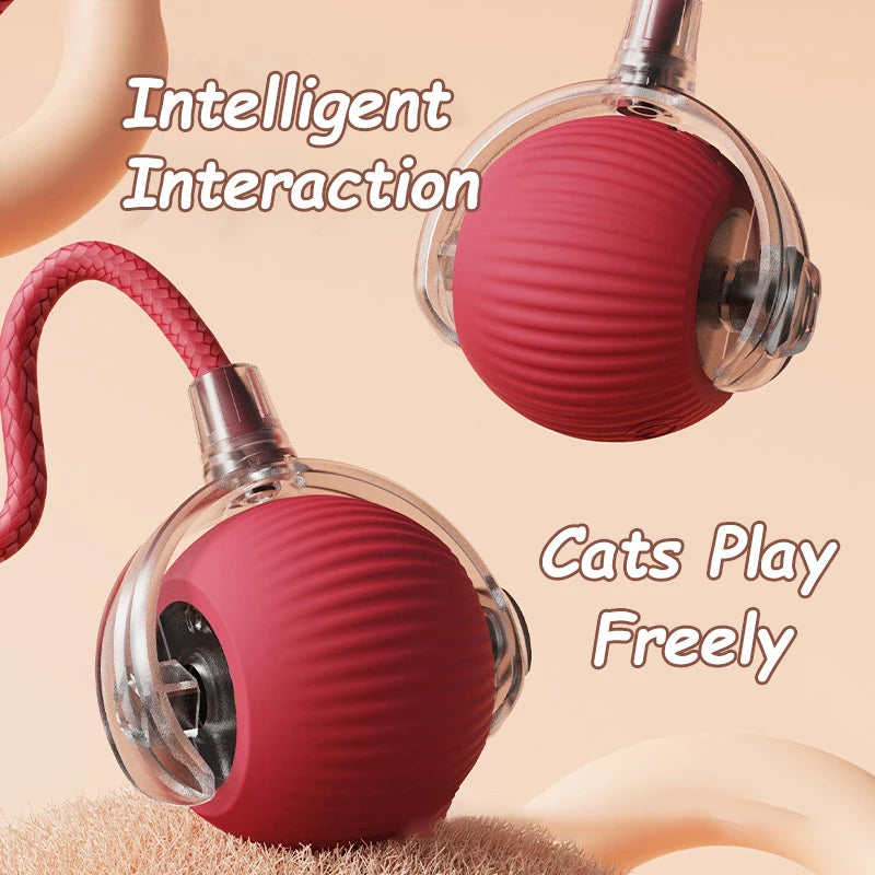 Cat Interactive Rolling Ball Toy