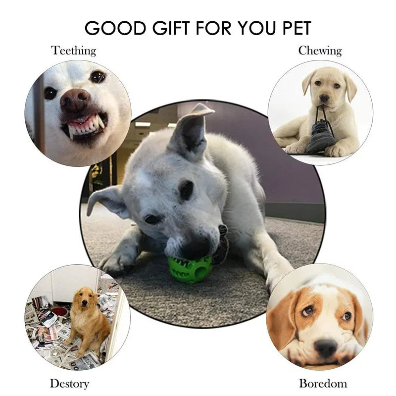 Dog Toy Ball Interactive Rubber Balls Puppy Chewing Toys Pet Tooth Cleaning Ball Cats Pets Food Treat Feeder Silicone Balls Toy