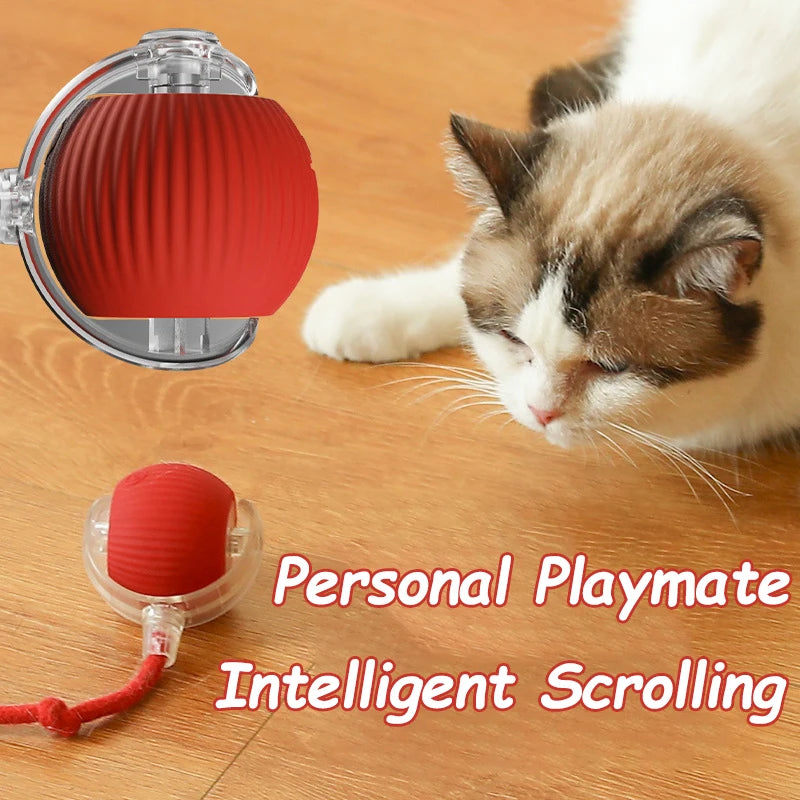 Cat Interactive Rolling Ball Toy