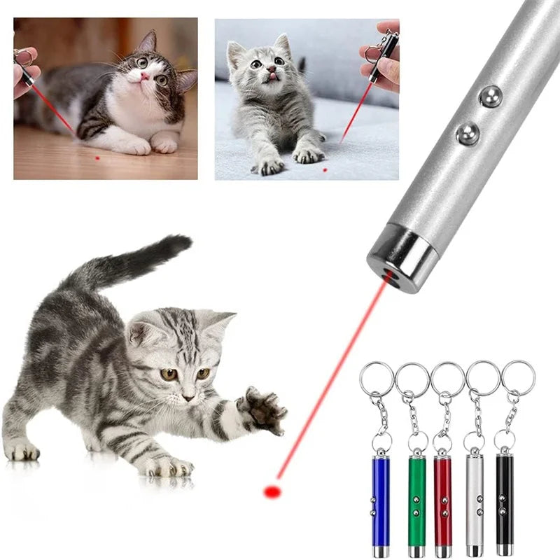 Mini Cat Dog 4mW Red Laser Light Pointer Toy - 2-in-1 LED Training Pen