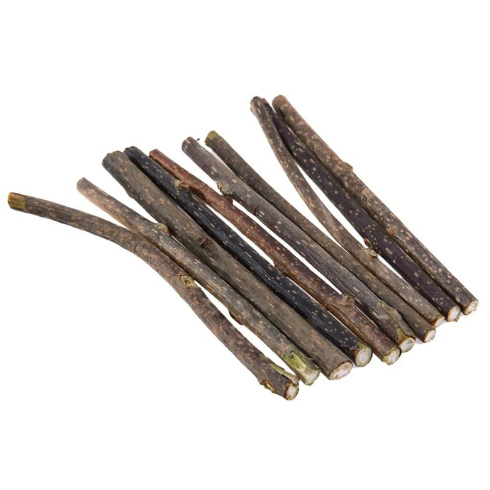 Silvervine Sticks for Cats Natural Catnip Chew Sticks Teeth Molar Chewing Toys for Cat Kitten Kitty Gifts