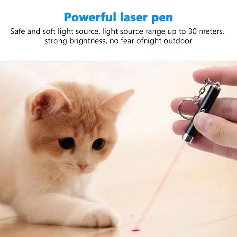 Mini Cat Dog 4mW Red Laser Light Pointer Toy - 2-in-1 LED Training Pen