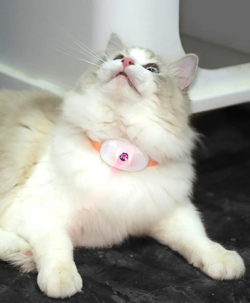 LED Laser Cat Teasing Toy USB Rechargeable Cat Toy Adjustable Magic Cat Collar Kitten Playing Toy Cat Accessories