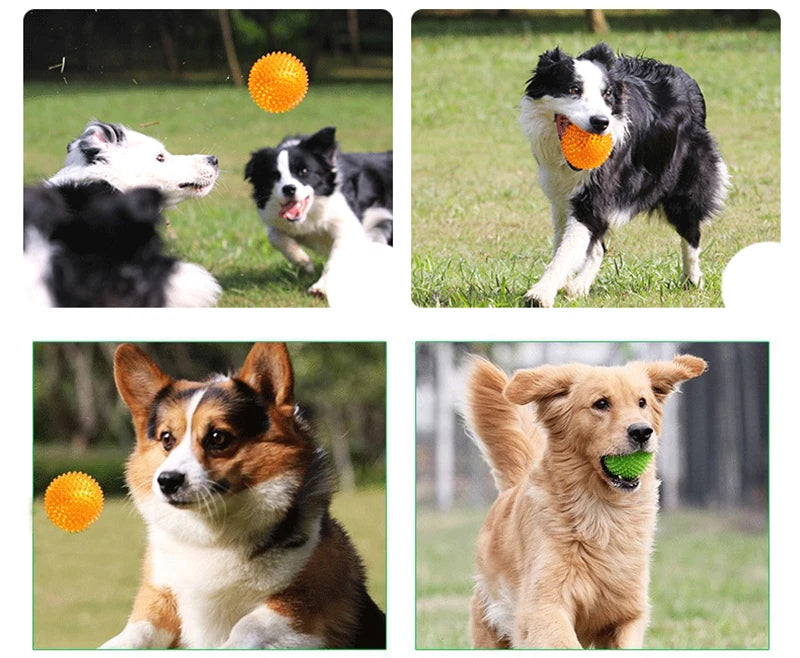 Pet Dog Toys Cat Puppy Sounding Toy Polka Squeaky Tooth Cleaning Ball TPR Training Pet Teeth Chewing Toy Thorn Balls Accessories