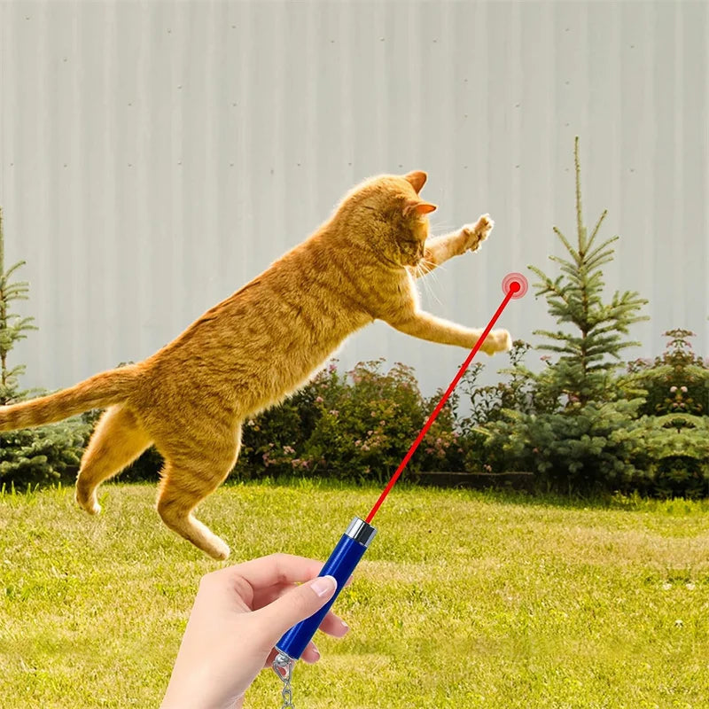 Mini Cat Dog 4mW Red Laser Light Pointer Toy - 2-in-1 LED Training Pen