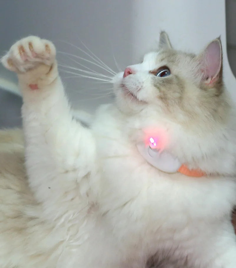 LED Laser Cat Teasing Toy USB Rechargeable Cat Toy Adjustable Magic Cat Collar Kitten Playing Toy Cat Accessories